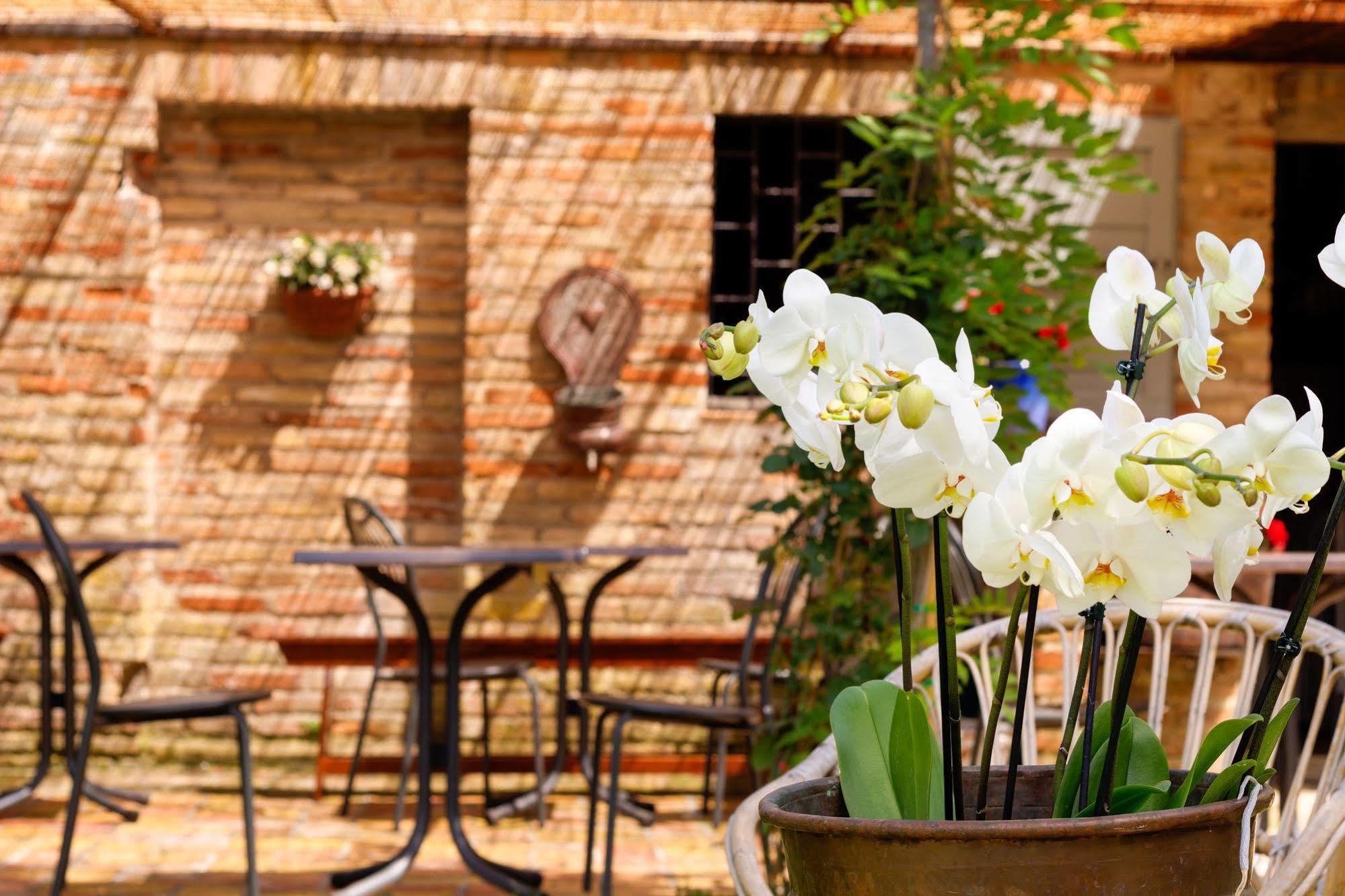 B&B La Residenza Del Poeta Montesicuro Екстериор снимка